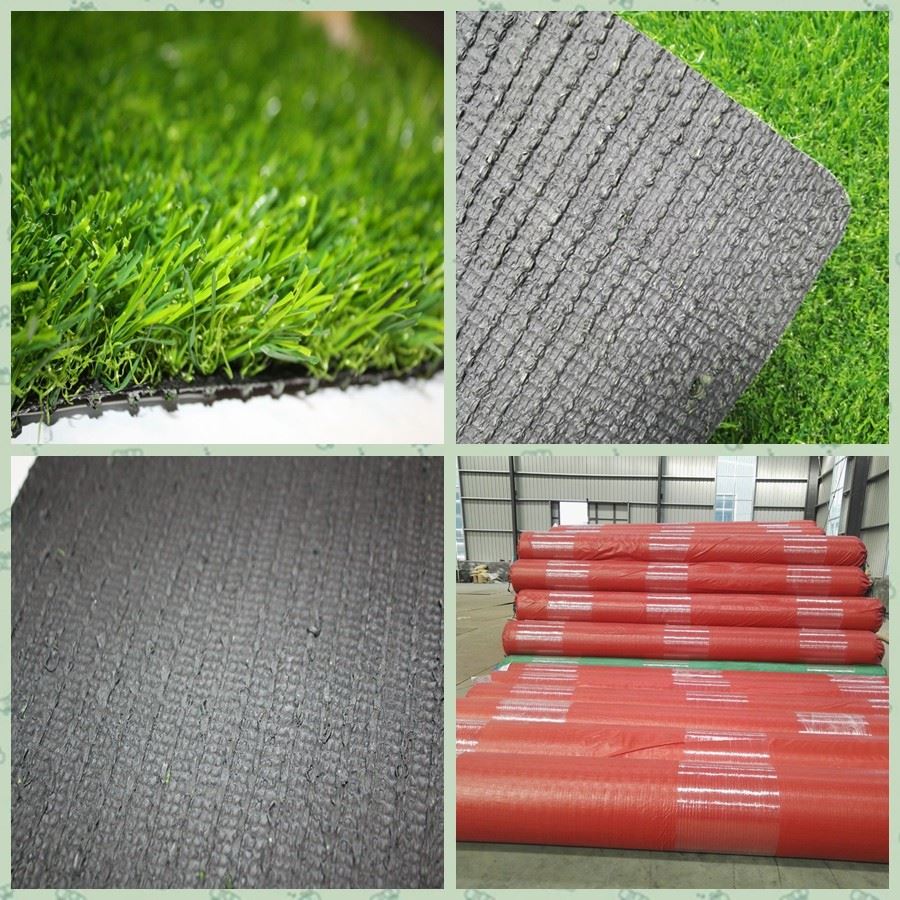 grass for wholesale grass for wholesale