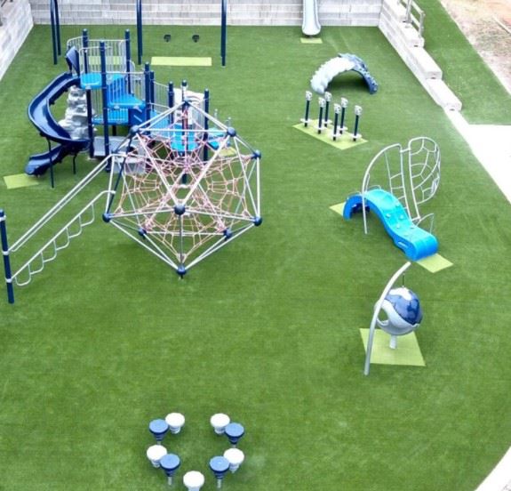 best Green Color Garden Turf 