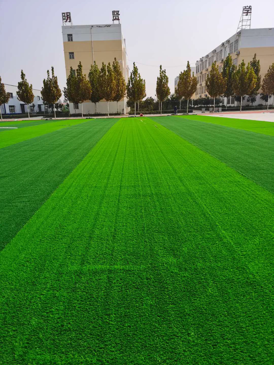 grass landscaping
