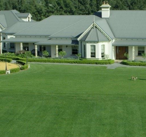 Turf Artificial Grass Landscaping