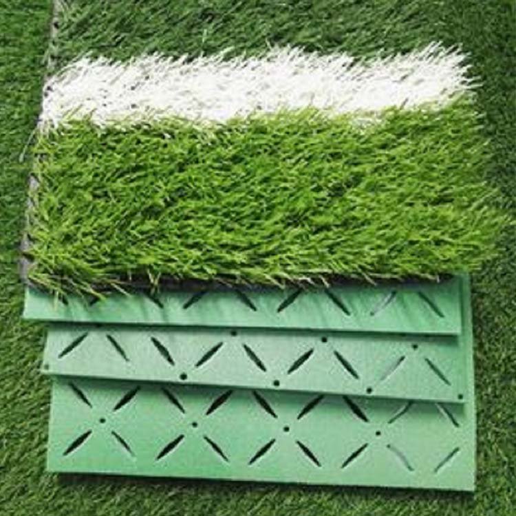 rumput tahan lama