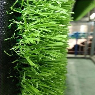Pasir-rumput bola sepak percuma