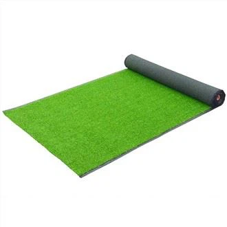 Rumput Taman Permainan Belakang Rumah