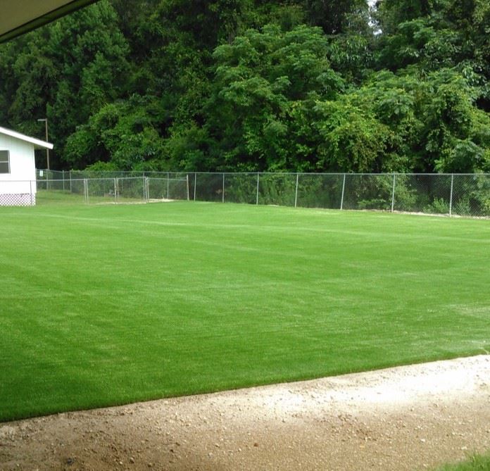 Wholesale Green Color Garden Turf Artificial Grass Turf