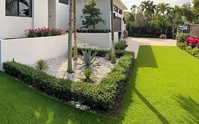 garden grass