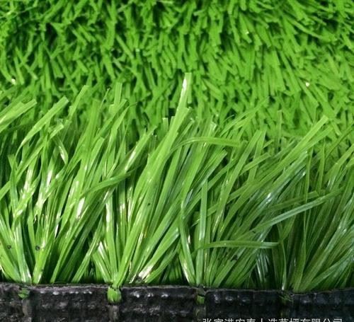 Artificial Turf For Rooftop Deck