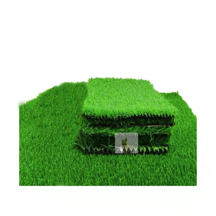 leisre grass_2