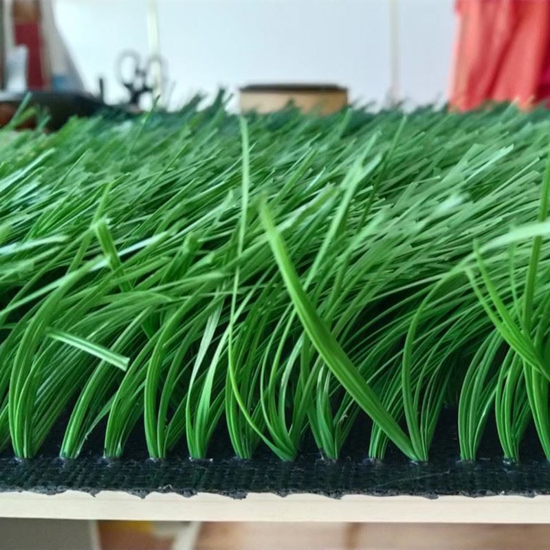 rumput sukan bola sepak rumput bola sepak