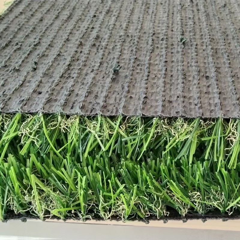rumput landskap sampel baru