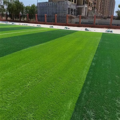 SDMS Sports Turf untuk Taman Permainan Sekolah